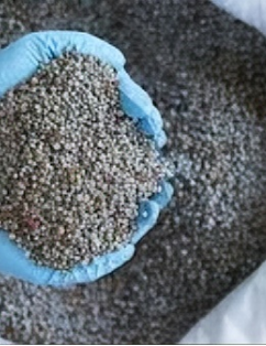 Fertilizantes Fosfatados
