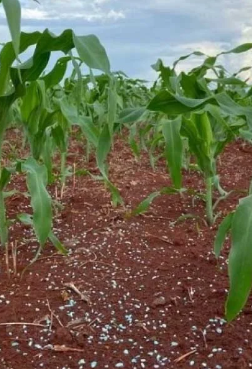 Fertilizantes Mistos